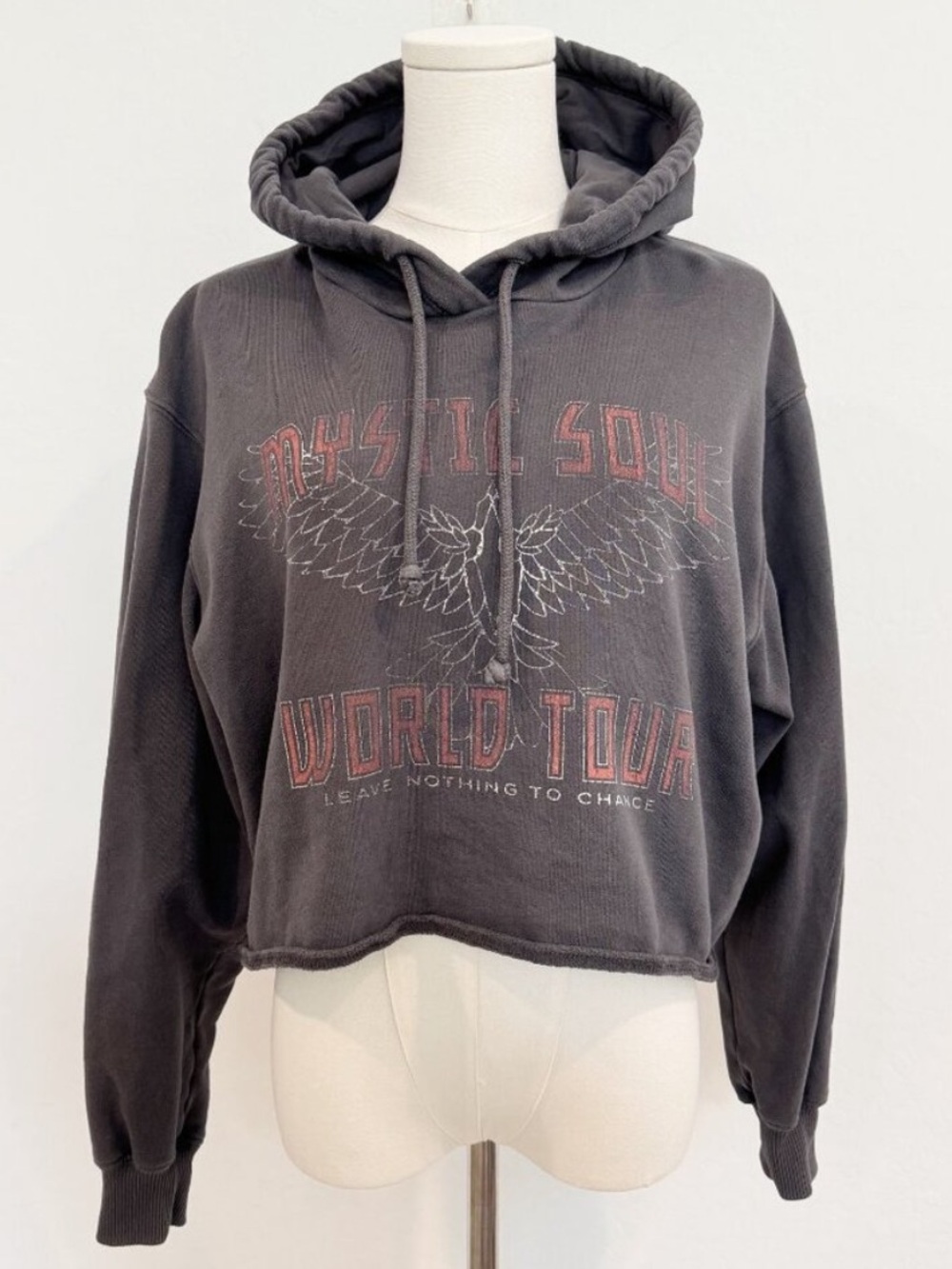 Hollister Hoodie Size S Gray Cropped Graphic Pullover Sweatshirt Off Duty Casual